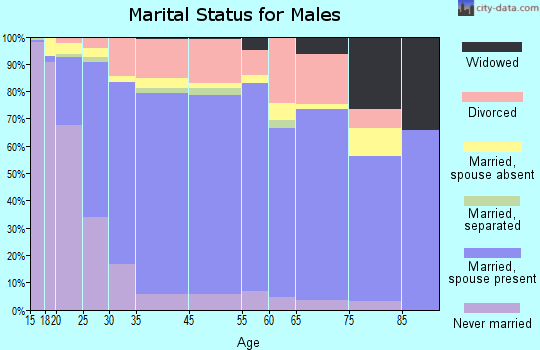 Channelview marital status for males