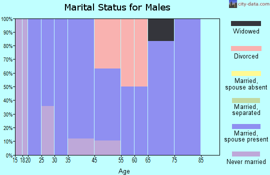 Chester marital status for males