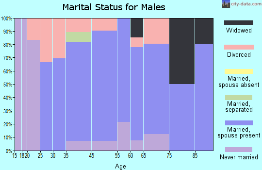 Chillicothe marital status for males