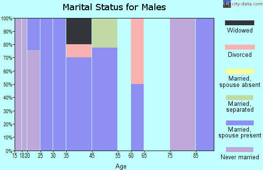 Chula Vista-River Spur marital status for males
