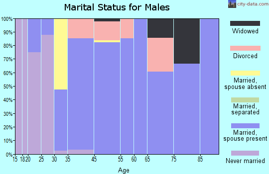 Clarksville City marital status for males