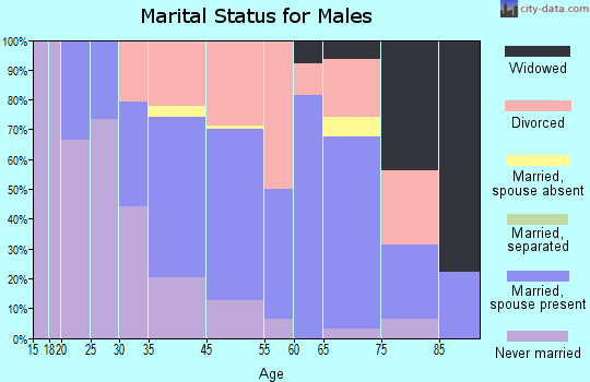 Clear Lake Shores marital status for males