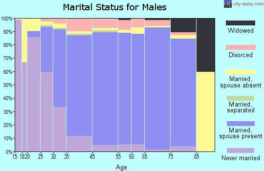 College Station marital status for males