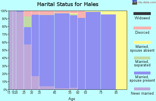 Colleyville marital status for males