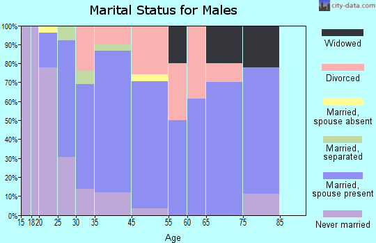 Cottonwood Shores marital status for males