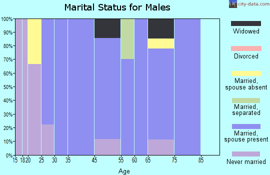 Dell City marital status for males