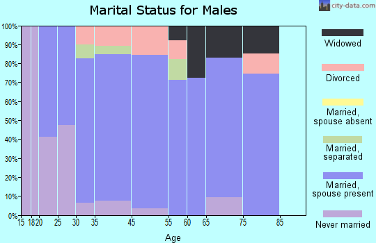 Denver City marital status for males