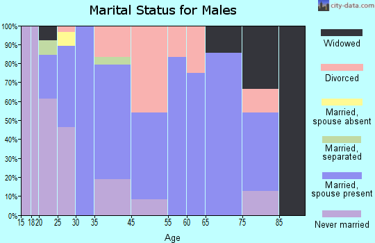 Detroit marital status for males