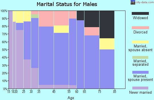 Dripping Springs marital status for males