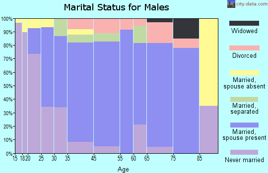 Eagle Lake marital status for males