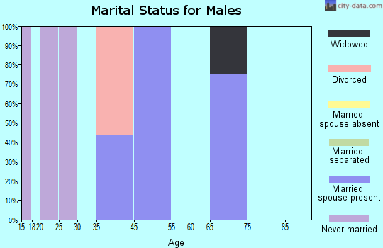 El Camino Angosto marital status for males