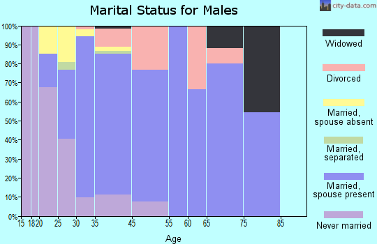 Los Alamos marital status for males