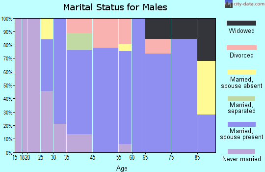 El Lago marital status for males