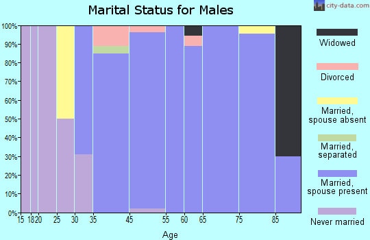 Fair Oaks Ranch marital status for males