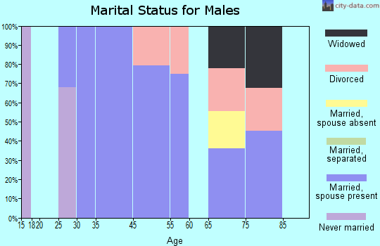 Falcon Lake Estates marital status for males