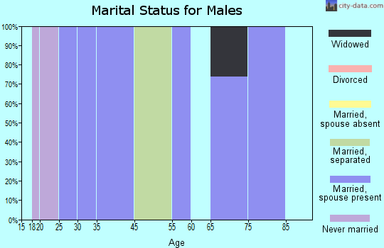 Falcon Mesa marital status for males