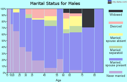 Falfurrias marital status for males