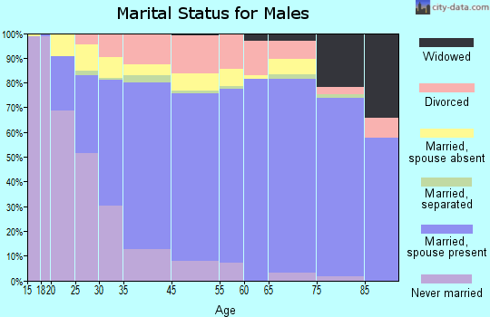 Farmers Branch marital status for males