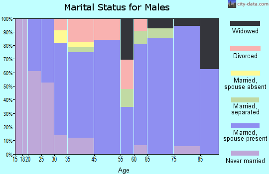 Fort Davis marital status for males