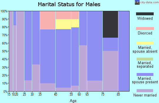 Fulshear marital status for males