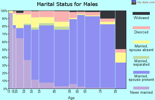 Georgetown marital status for males