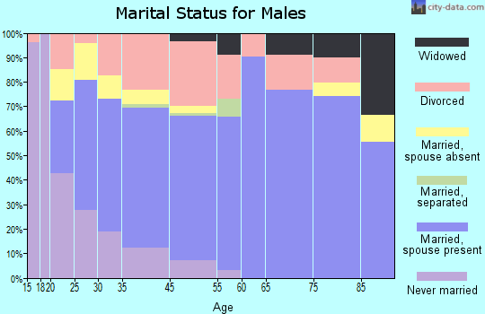 Granite Shoals marital status for males