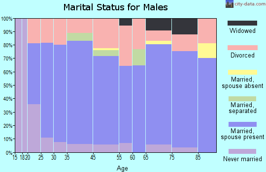 Gun Barrel City marital status for males