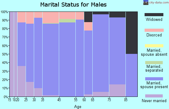 Hallsville marital status for males