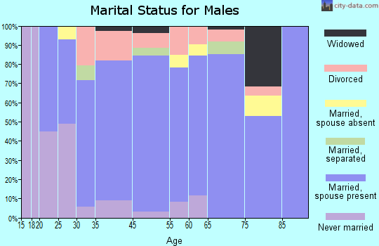 Hamlin marital status for males