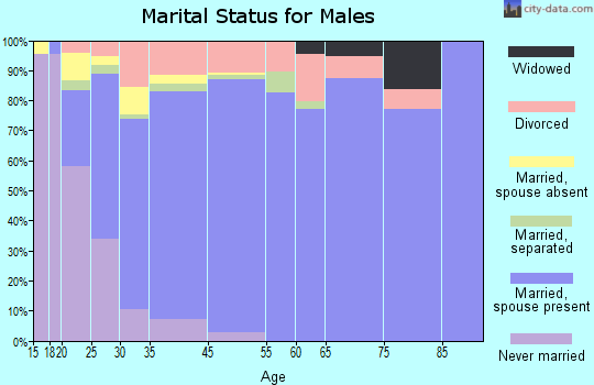 Harker Heights marital status for males