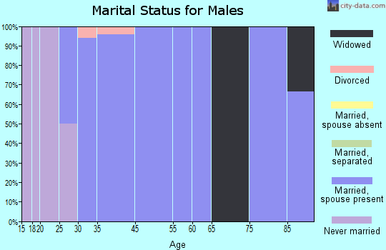 Hebron marital status for males
