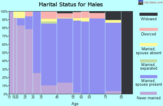 Hedwig Village marital status for males