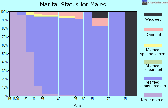 Highland Village marital status for males
