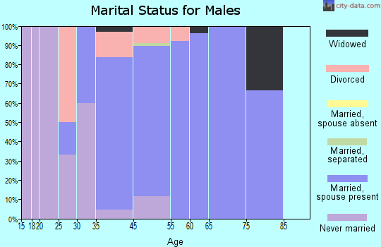Hilshire Village marital status for males