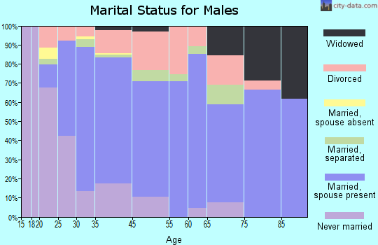 Hitchcock marital status for males