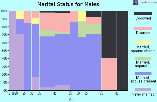 Holiday Lakes marital status for males