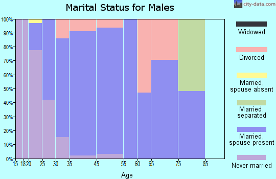 Homestead Meadows North marital status for males