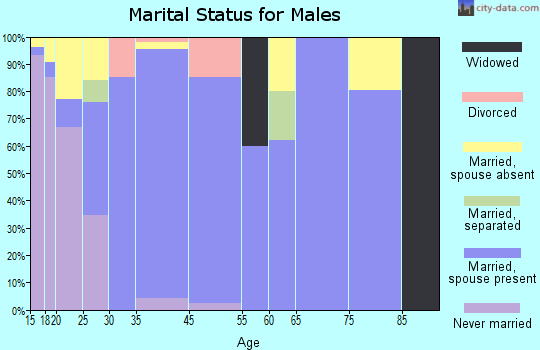 Homestead Meadows South marital status for males