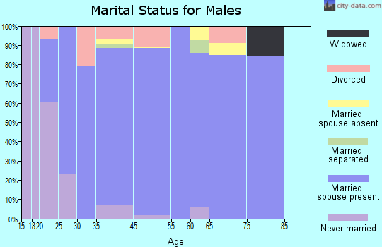 Horizon City marital status for males