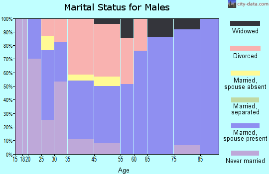 Hudson Bend marital status for males