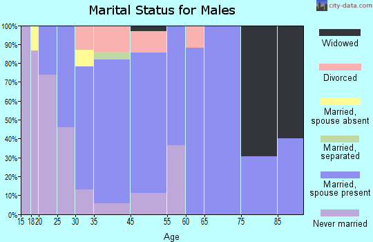 Iowa Colony marital status for males