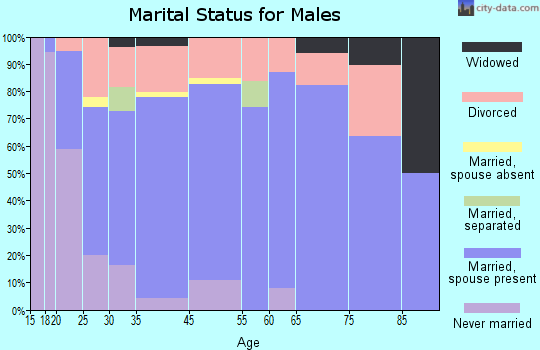 Iowa Park marital status for males