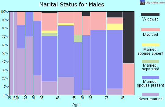 Jamaica Beach marital status for males