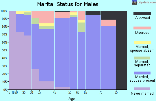 Jersey Village marital status for males