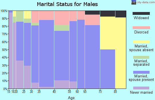 Johnson City marital status for males