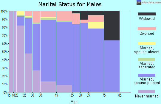Jollyville marital status for males