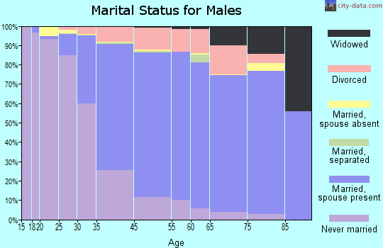 Manhattan Beach marital status for males