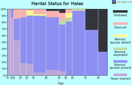 Justin marital status for males