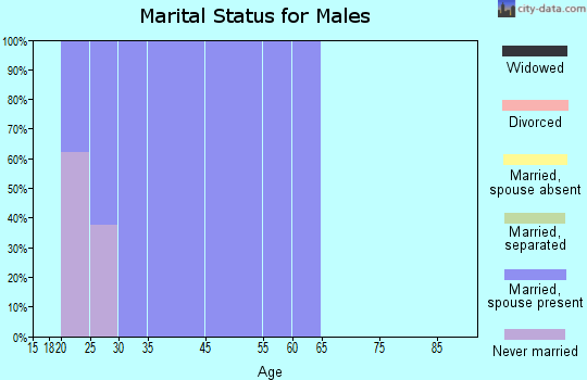 March AFB marital status for males