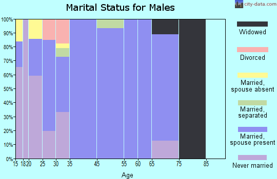 La Casita-Garciasville marital status for males